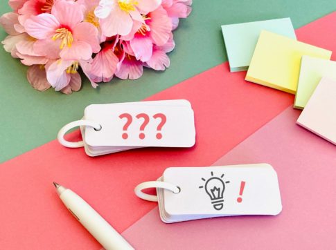 主な合格校と進学先